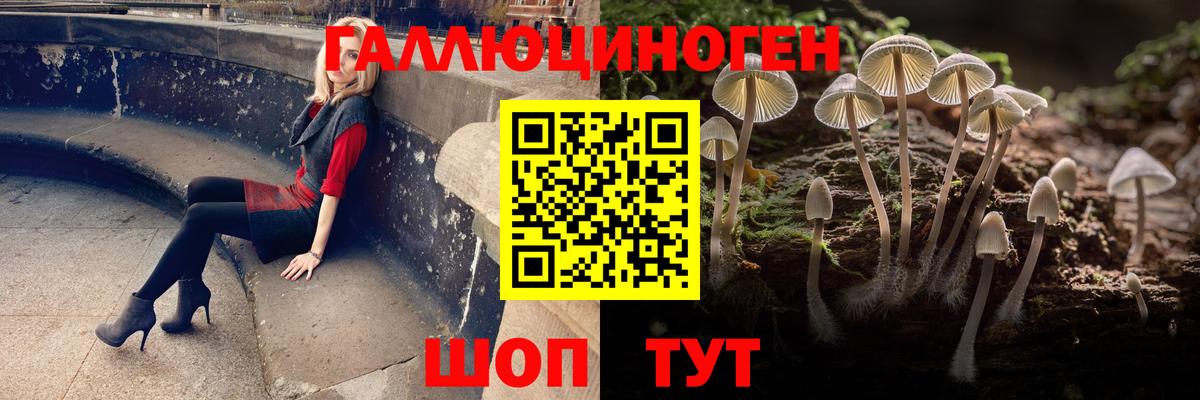 Псилоцибиновые грибы Magic Shrooms  Вход с VPN  Псилоцибиновые грибы ЛСД  Кинель 
